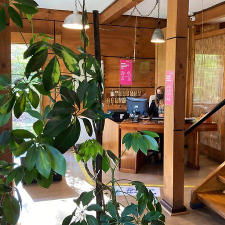 Hotel Truyaca Osorno Eksteriør bilde